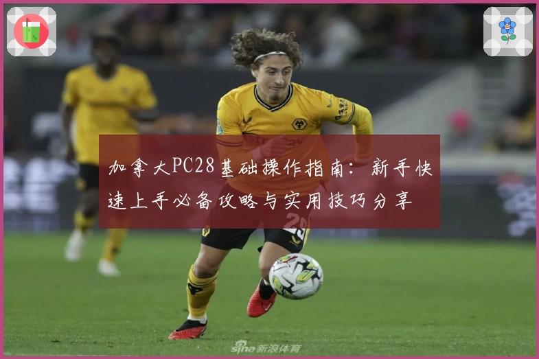 加拿大PC28基础操作指南：新手快速上手必备攻略与实用技巧分享