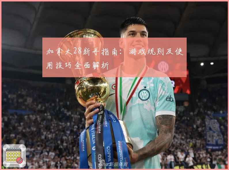 加拿大28新手指南：游戏规则及使用技巧全面解析