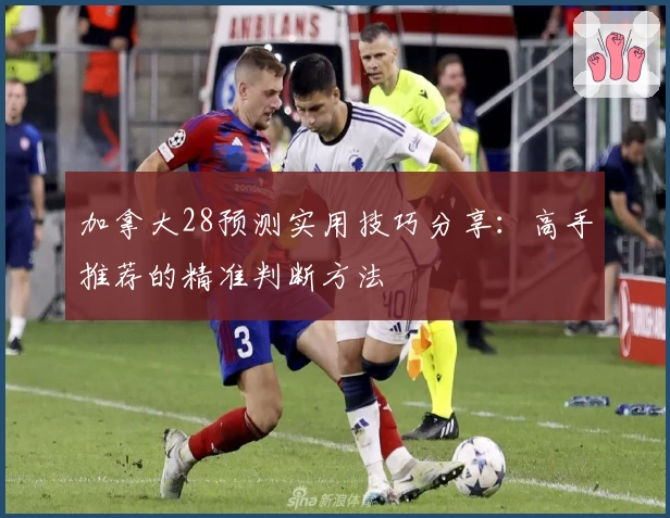 加拿大28预测实用技巧分享：高手推荐的精准判断方法