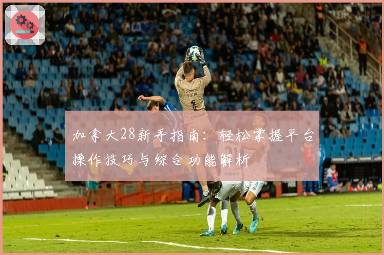 加拿大28新手指南：轻松掌握平台操作技巧与综合功能解析