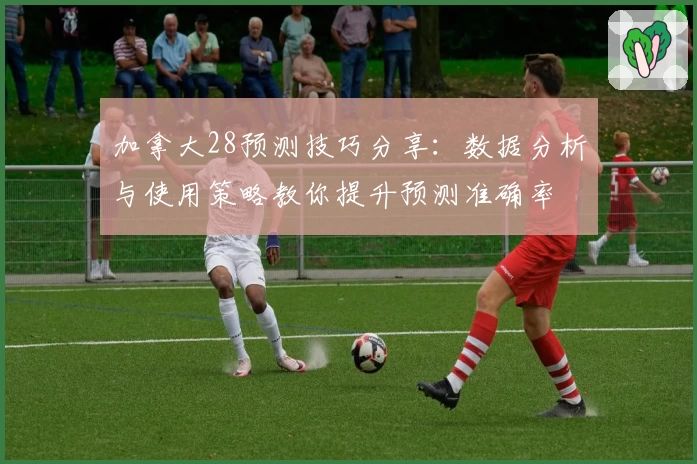 加拿大28预测技巧分享：数据分析与使用策略教你提升预测准确率