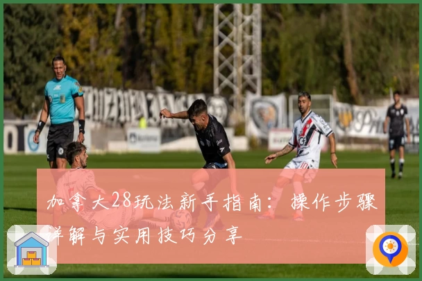 加拿大28玩法新手指南：操作步骤详解与实用技巧分享