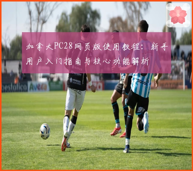 加拿大PC28网页版使用教程：新手用户入门指南与核心功能解析