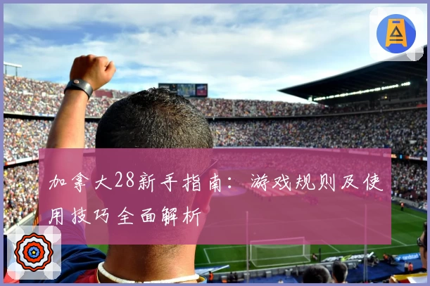 加拿大28新手指南：游戏规则及使用技巧全面解析