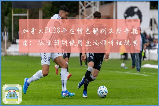 加拿大PC28平台特色解析及新手指南：从注册到使用全流程详细说明