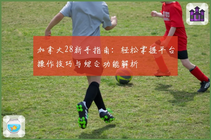加拿大28新手指南：轻松掌握平台操作技巧与综合功能解析